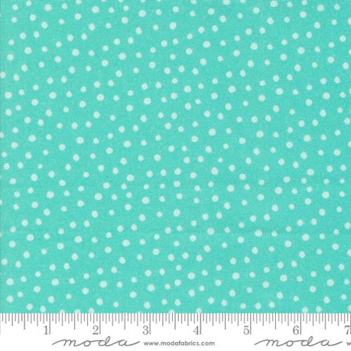Moda – Flower Patches Robin’s Egg (21829) – by the Half Yard - Small Town Fabric Co.